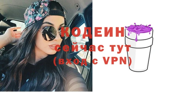 гашик Дмитриев