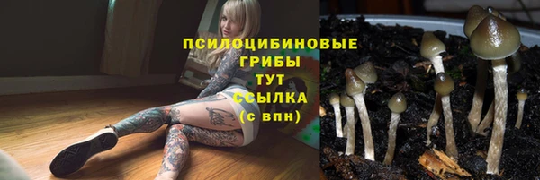 альфа пвп Елизово