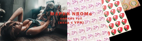 гашик Дмитриев