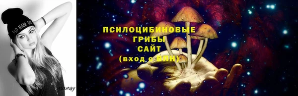 эйфоретик Елабуга