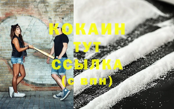 гашик Дмитриев