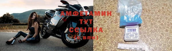 гашик Дмитриев