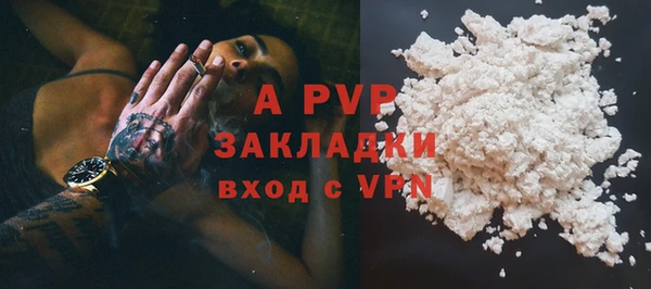 гашик Дмитриев